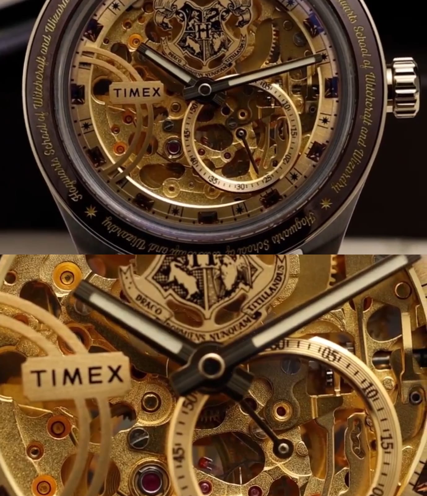 Timex x Harry Potter Waterbury Skeleton Automatic | Leather Strap Men's Watch | TW2Y75500X6